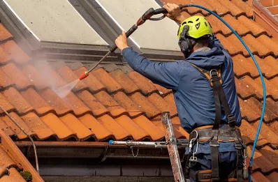 Démoussage et hydrofuge de toiture à Feings